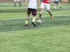 国王逆袭奇,福克斯独得,比尔遗憾,开云体育,开云体育官网,开云体育app,开云体育平台,KAIYUN,SPORTS,kaiyun登录入口