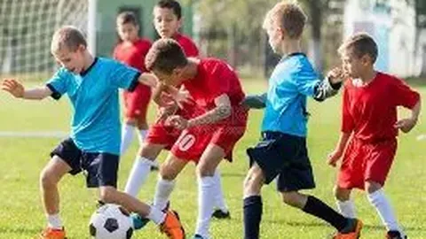 kaiyun体育 产品 092143 sff