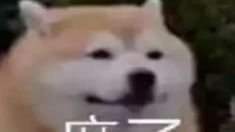 詹姆斯11分力挽狂澜，太阳险胜戴维斯29+15赛季首败落定